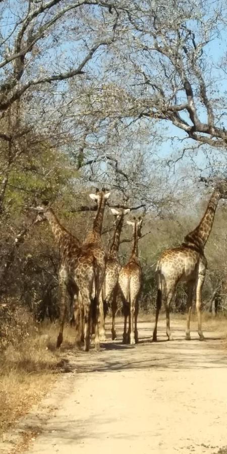 Njiri Lodge - Your Part Of Africa Marloth Park Bagian luar foto